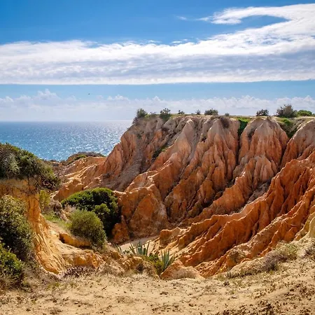 Elegant In With Private Pool.