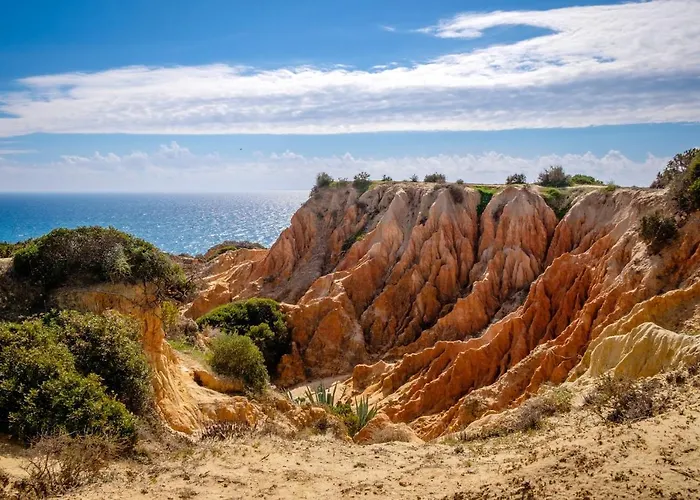 Elegant In With Private Pool.